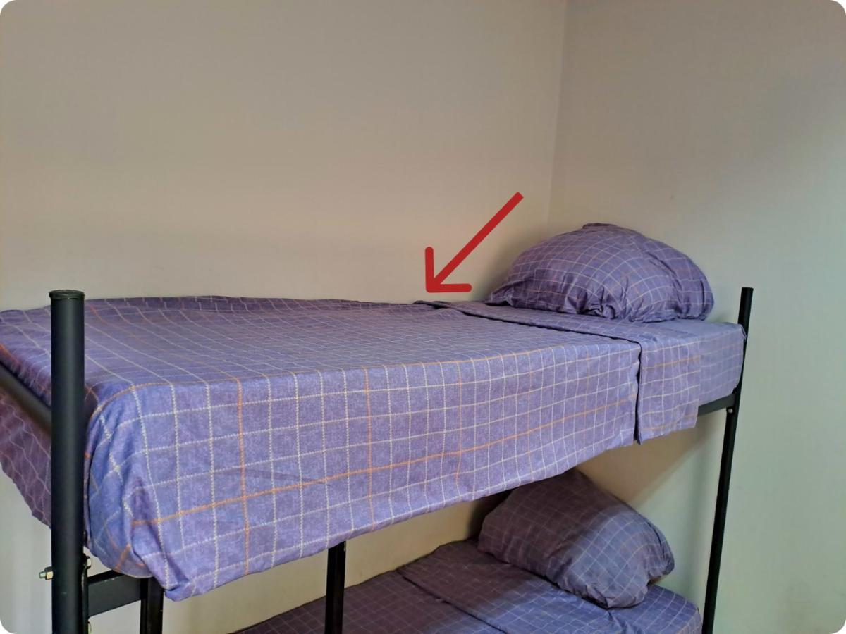 אלמטי Fox Park Hostel מראה חיצוני תמונה